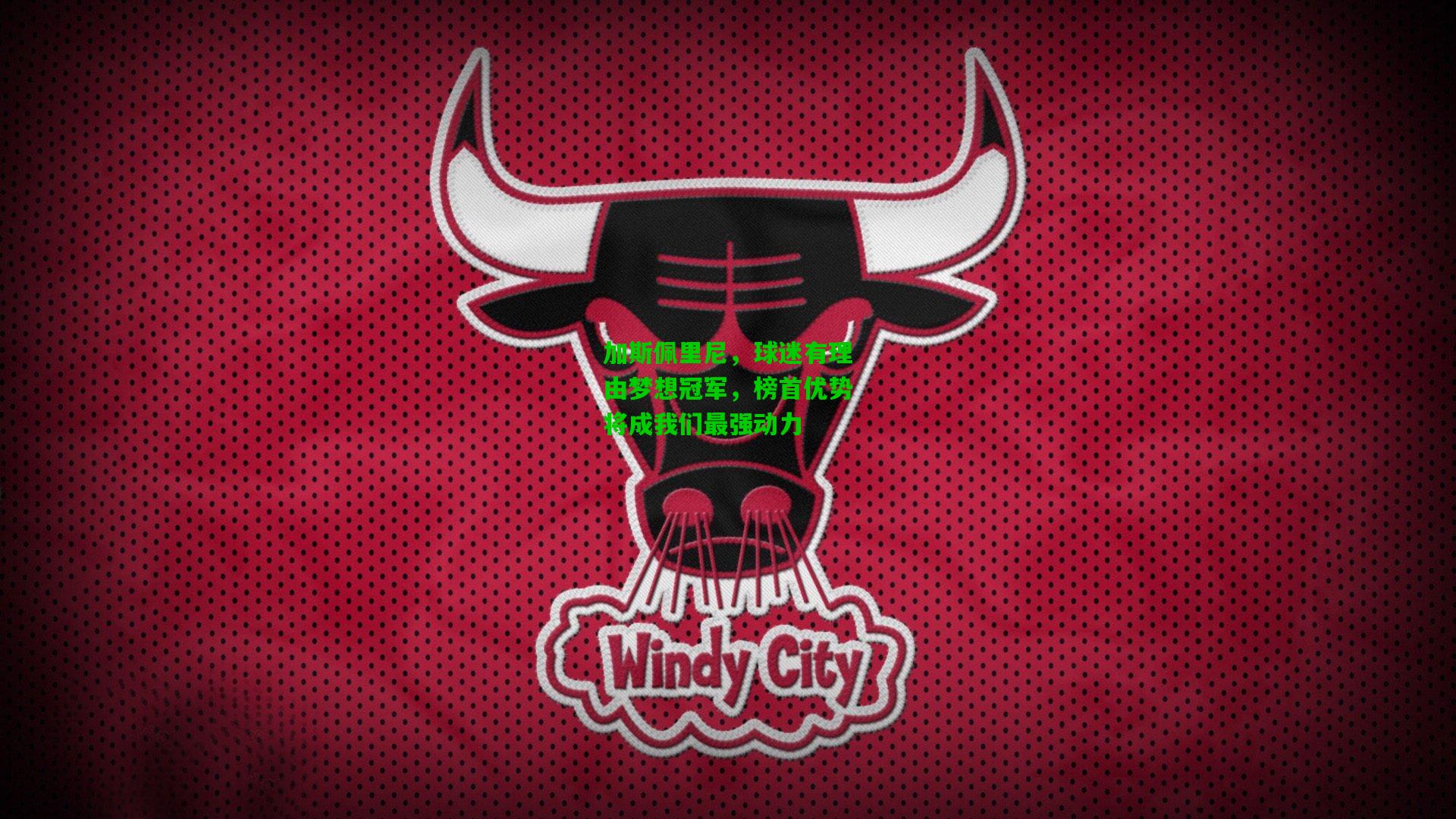 加斯佩里尼,球迷有理由梦想冠军,榜首优势将成我们最强动力