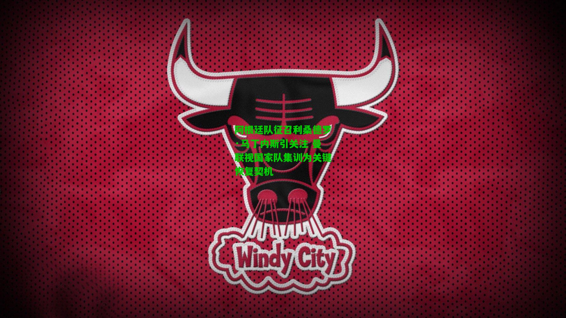 阿根廷队征召利桑德罗·马丁内斯引关注 曼联视国家队集训为关键恢复契机